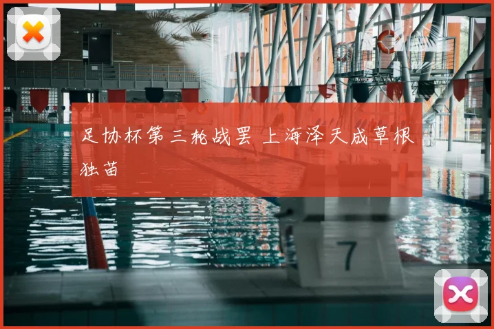 足协杯第三轮战罢 上海泽天成草根独苗