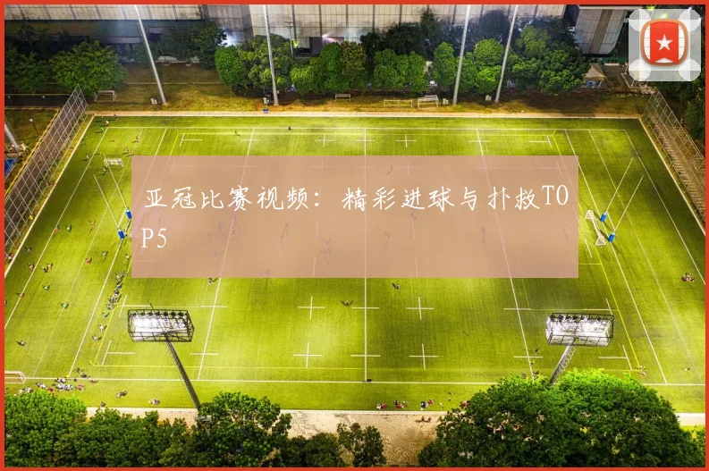 亚冠比赛视频：精彩进球与扑救TOP5