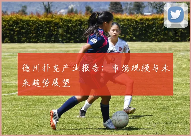 德州扑克产业报告:市场规模与未来趋势展望