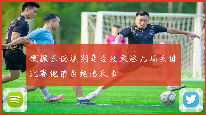 樊振东低迷期是否结束这几场关键比赛他能否绝地反击