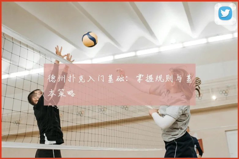 德州扑克入门基础:掌握规则与基本策略