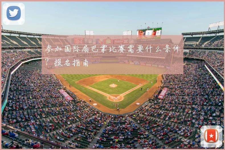 参加国际扇巴掌比赛需要什么条件?报名指南