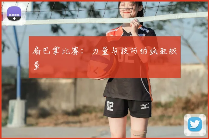扇巴掌比赛:力量与技巧的疯狂较量