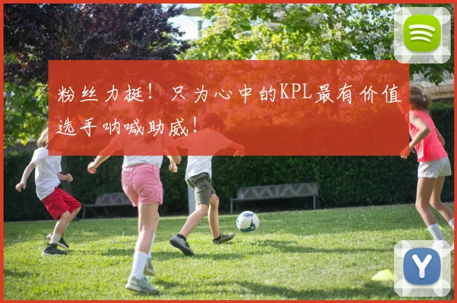 粉丝力挺!只为心中的KPL最有价值选手呐喊助威!
