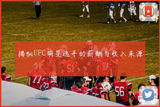 揭秘UFC明星选手的薪酬与收入来源