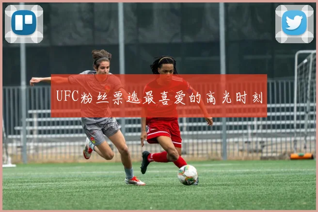 UFC粉丝票选最喜爱的高光时刻