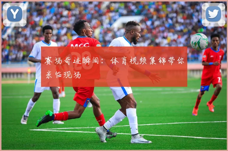 赛场奇迹瞬间：体育视频集锦带你亲临现场