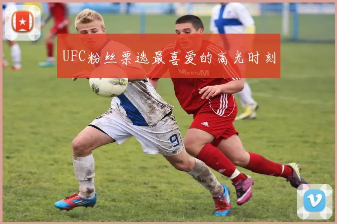 UFC粉丝票选最喜爱的高光时刻