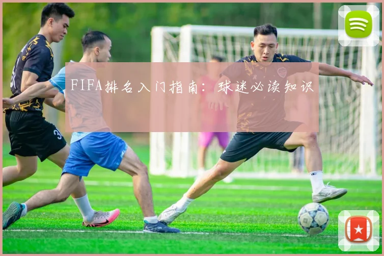 FIFA排名入门指南：球迷必读知识