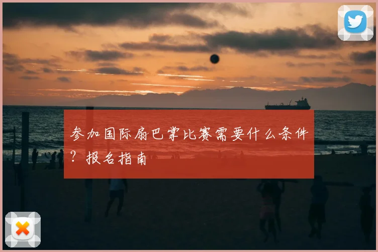 参加国际扇巴掌比赛需要什么条件?报名指南